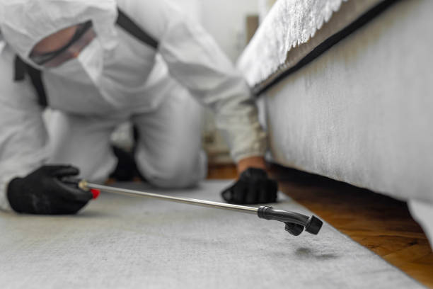 Professional Bed Bug Control technician working in Jennings County County, IN